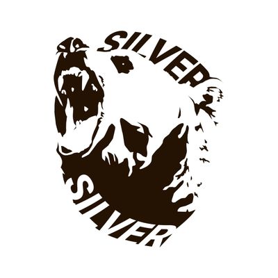Silver shirt